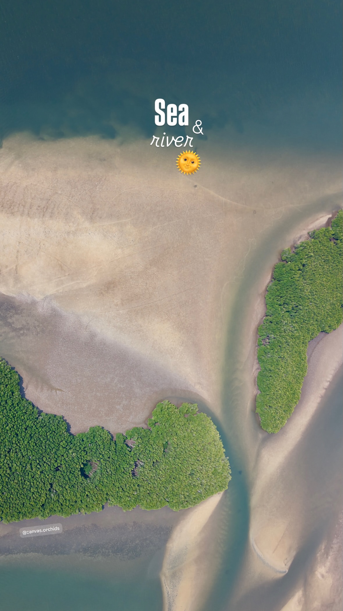 Where the sea and river meet in Koh Kong, seen from above