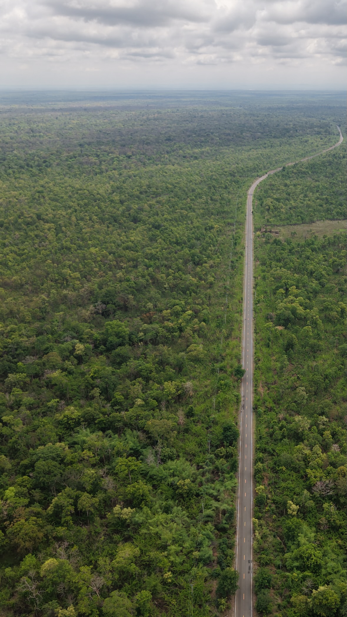 The forest road between Mondulkiri and Ratanakiri