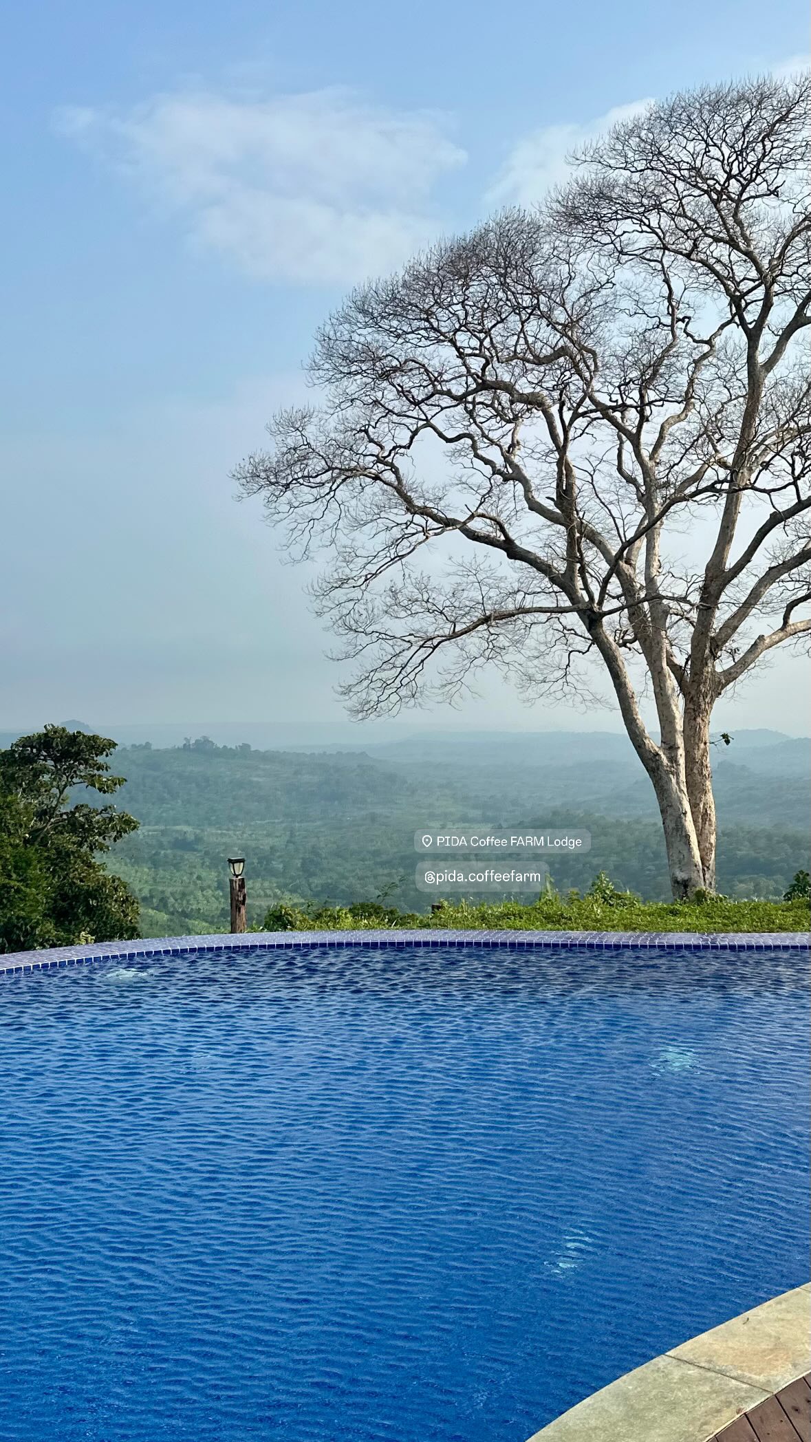 The view from Pida Coffee Farm in Mondulkiri